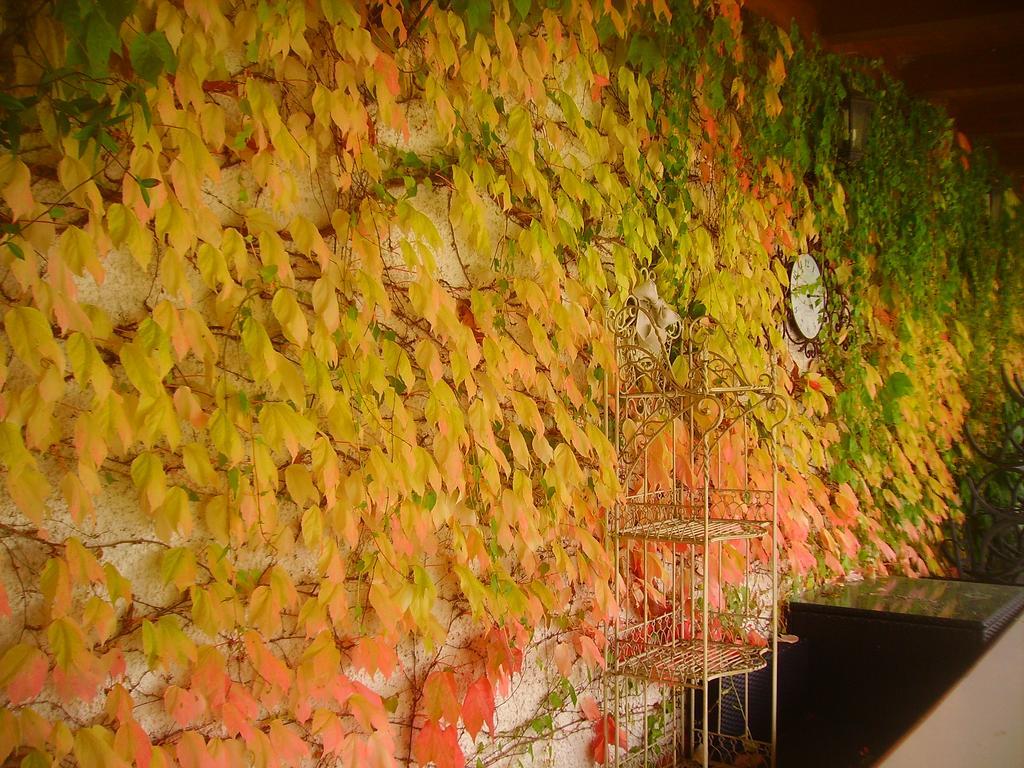 B&B Margherita Le Fiabe Sant'Agata Feltria Luaran gambar