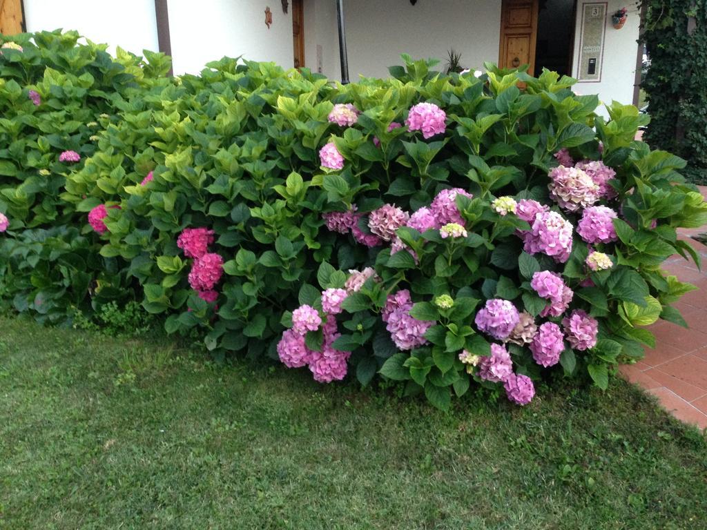 B&B Margherita Le Fiabe Sant'Agata Feltria Luaran gambar